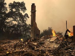 Fue en el condado de Napa donde, durante la madrugada, se registraron tres grandes incendios y varios de menor envergadura. AFP / J. Sullivan