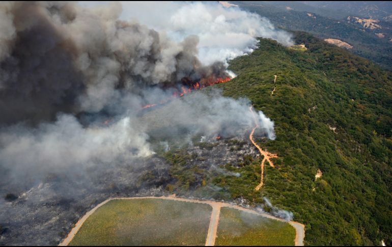 El denso humo cubre las colinas del norte de Napa, California. AP/ M. SHORT