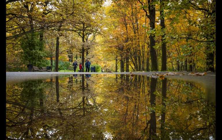 Personas caminan junto a un estanque en un parque de Moscú. AP/A. Zemlianichenko