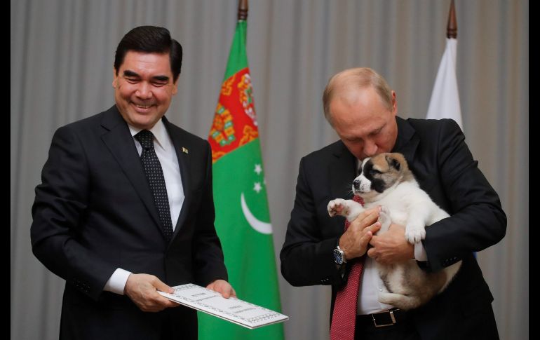 El presidente ruso, Vladímir Putin, sostiene a un perro pastor de Asia Central regalado por su homólogo de Turkmenistán, Gurbanguly Berdimuhamedow (i), durante una reunión en Sochi, Rusia. AFP/M. Shemetov