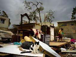 Se espera que el destrozo dejado por “María” impulse a miles de puertorriqueños a abandonar la isla para instalarse en Estados Unidos. AP / R. Espinosa