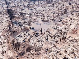 “Estamos viendo literalmente vegetación explosiva”, declaró Ken Pimlott, jefe del Departamento de Protección Forestal y Antiincendios de California. AFP / E. Nouvelage
