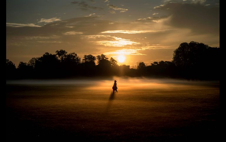 Una persona camina en la mañana por un parque de Lyon, Francia. AFP/J. Pachoud