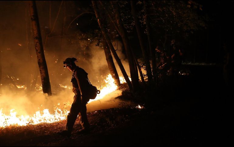 Al menos 31 muertos y más de 400 desaparecidos han provocado, hasta ahora, los 21 incendios activos en California. AFP / J. Sullivan