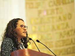 La diputada Vania Roxana Ávila García dirigió su petición a Miguel Ángel Mancera y al titular del Sistema de Protección Civil. TWITTER / @AsambleaDF