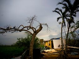 El presidente de la cámara baja de EU señaló que trabajará con las autoridades de la isla y el gobierno de Trump sobre una asistencia a largo plazo.  AP / R. Espinosa