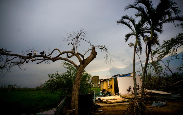 El presidente de la cámara baja de EU señaló que trabajará con las autoridades de la isla y el gobierno de Trump sobre una asistencia a largo plazo.  AP / R. Espinosa