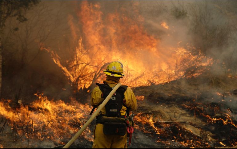 El jefe de los bomberos de California dijo que más de nueve mil efectivos estaban combatiendo los 17 grandes incendios. AP / M. Sanchez