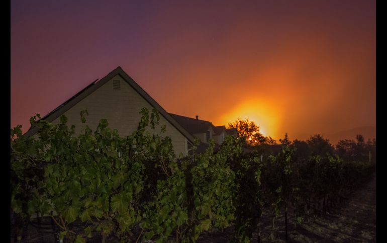 El mundo en imágenes del 14 de octubre