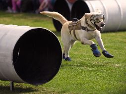 Fotogalería: "Frida" encanta a los mexicanos