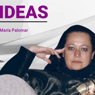 El Colegio Nacional y los argumentos idiotas