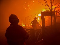 Fotogalería: Portugal vive la peor jornada de incendios del año