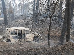 Los estragos de los incendios al norte de España han llegado hasta Vigo, pues las cenizas cubrieron la casa del Celta, el estadio Balaídos. AP / L. Villar