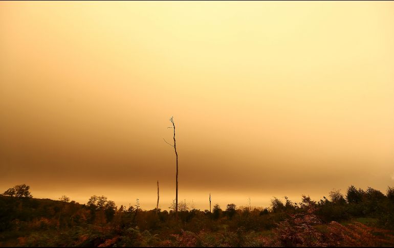 Un cielo amarillo y naranja se observa en Chasne-sur-Illet, al sur de Francia. AP/D. Vincent