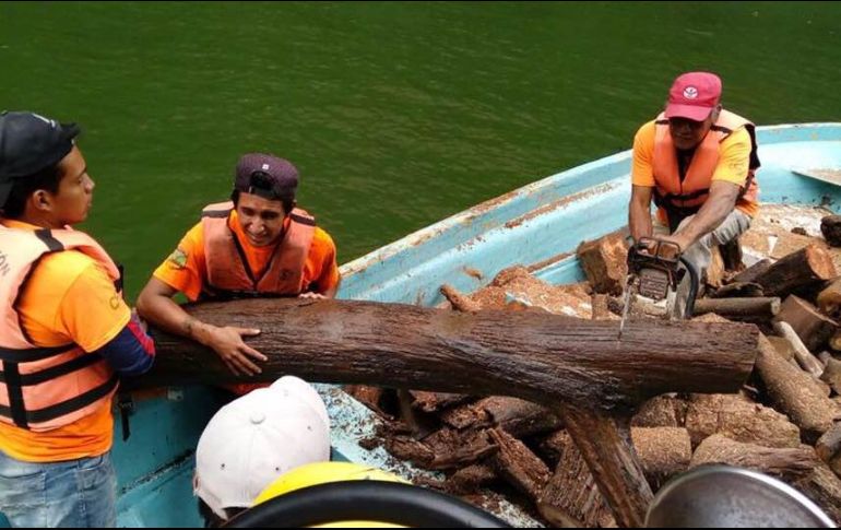 La basura estaba compuesta principalmente de desechos forestales, rocas y plásticos. FACEBOOK / CONANP-Parque Nacional Cañon del Sumidero