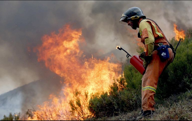 Cerca de tres mil bomberos trabajaron en Portugal para intentar apagar los siniestros, pero más de una treintena de focos 