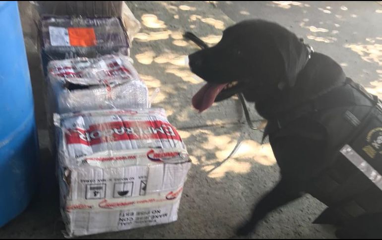 Los materiales fueron decomisados y puesto a disposición del Ministerio Público Federal. ESPECIAL/