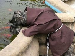 En las imágenes se ve a Carmelo en los pasillos del convento, bebiendo agua de una de las fuentes y acompañado de los franciscanos. FACEBOOK / Kasper Mariusz