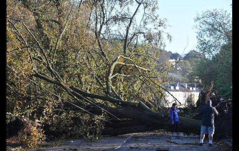 Los peores efectos de la tormenta se los llevó este lunes la isla de Irlanda, donde dejó tres muertos. En County Cork, los vientos alcanzaron 156 kilómetros por hora.