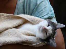 ESPECIAL/ Ayuntamiento de Tlajomulco