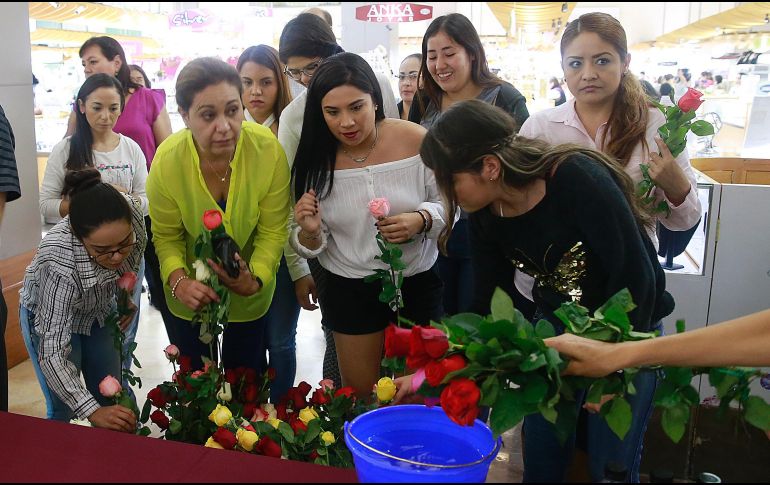 Los asistentes mojaron una rosa con agua bendita para llevarla a su respectivo local, y así lograr la bendición de los 700 comercios que conforman el edificio. EL INFORMADOR/M. Vargas