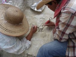 El busto está en mal estado de conservación, por lo que será restaurado. NTX/ARCHIVO