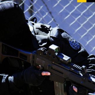 Operación anti pedofilia en Brasil deja más de 80 arrestos