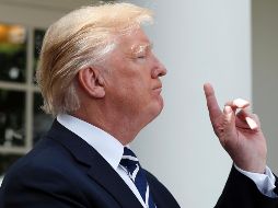 Después de poco más de seis meses, Donald Trump no ha desistido en su intento de implementar un veto migratorio. ESPECIAL/ ARCHIVO