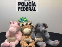 Los tres osos de peluche son procedentes de Colima con destino a Monterrey. ESPECIAL / Policía Federal