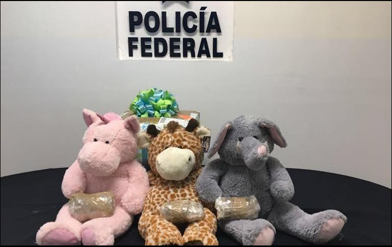 Los tres osos de peluche son procedentes de Colima con destino a Monterrey. ESPECIAL / Policía Federal
