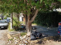 Los residentes de la zona esperan que las autoridades puedan tomar cartas en el asunto. EL INFORMADOR/ ESPECIAL