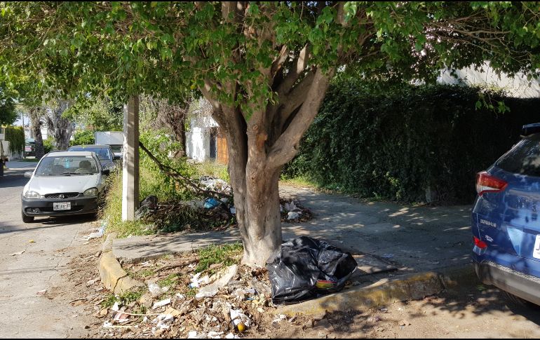 Los residentes de la zona esperan que las autoridades puedan tomar cartas en el asunto. EL INFORMADOR/ ESPECIAL