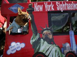 El mundo en imágenes del 21 de octubre 2017