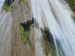 Cola de Caballo. Uno de los puntos más bellos de Nuevo León. EL INFORMADOR / M. Castillo