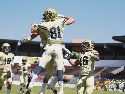 Andrés Salgado (#81) celebra su recepción para seis puntos con la que los Pumas CU le dieron la vuelta al marcador ayer en el emparrillado del Estadio Tres de Marzo frente a las Águilas Blancas del IPN. EL INFORMADOR/G. Gallo