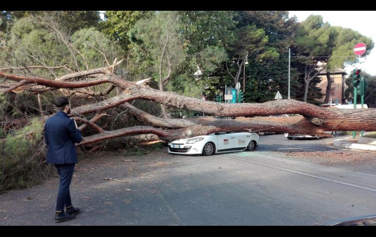 Un hombre observa un árbol que cayó sobre un taxi en Roma, Italia. Según reportes, el conductor resultó herido, mientras dos mujeres que se trasladaban en la unidad salieron ilesas. AP/ANSA/M. Guidelli