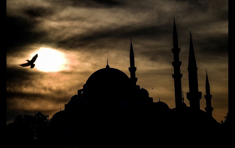 Una gaviota vuela cerca de la mezquita Suleymaniye en la ciudad turca de Estambul. AFP/O. Kose