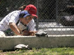 En Villa Fantasía planean construir un parque interactivo, una unidad de manejo ambiental y una clínica de rehabilitación de animales silvestres. EL INFORMADOR/A. García
