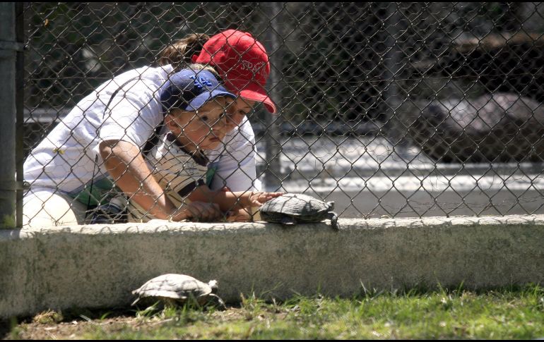 En Villa Fantasía planean construir un parque interactivo, una unidad de manejo ambiental y una clínica de rehabilitación de animales silvestres. EL INFORMADOR/A. García