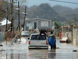 Detallan que dos de las muertes se deben a la enfermedad de la leptospirosis, asociadas a aguas estancadas y orín de animales; niegan que haya brote en el lugar. AP / ARCHIVO