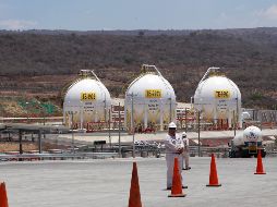 Rogelio Cerda, procurador federal del consumidor, aseguró que se iniciará una investigación para aclarar las acusaciones. EL INFORMADOR/Archivo