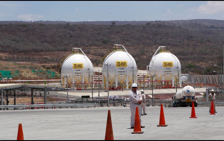 Rogelio Cerda, procurador federal del consumidor, aseguró que se iniciará una investigación para aclarar las acusaciones. EL INFORMADOR/Archivo