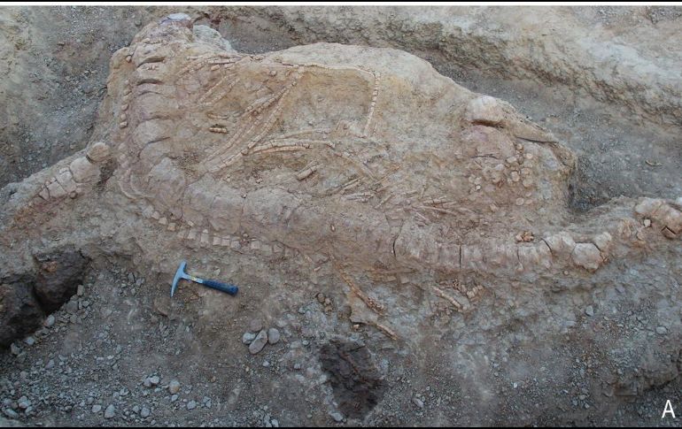 Los huesos de un dinosaurio alvarezsáurido fueron hallados en Uzbekistán por Alexander Averianov. Twitter / @PLOSONE