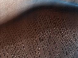 De acuerdo con la NASA, Hellas es uno de los cráteres de impacto más grandes del sistema solar. ESPECIAL / www.nasa.gov