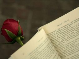 Las novelas de Jane Austen forman parte de los clásicos de la literatura universal. ESPECIAL / ARCHIVO
