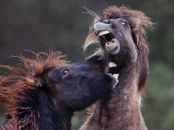 El mundo en imágenes del 26 de octubre de 2017