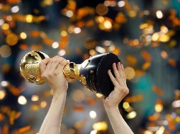 Hace tres años, el campeón mundial Alemania recibió 35 millones y el subcampeón Argentina, 25 millones de dólares haber alcanzado la fase final del torneo. MEXSPORT / ARCHIVO