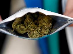 Se espera que la distribución se reanude hasta noviembre. EFE/ARCHIVO