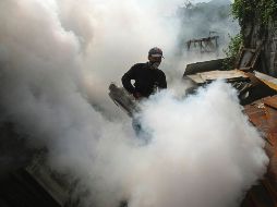 La propagación del chikungunya y dengue son uno de los peligros latentes. AP/Archivo