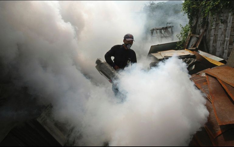 La propagación del chikungunya y dengue son uno de los peligros latentes. AP/Archivo